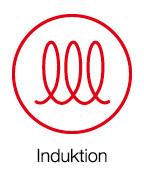 Induktion