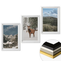 WANDBILDER 3er-Set - 40x60 cm Weißer Rahmen - Berge, Schnee, Hirsche, Waldlandschaft - Weiß, Kunststoff (40/60cm) - ArtPrintCave