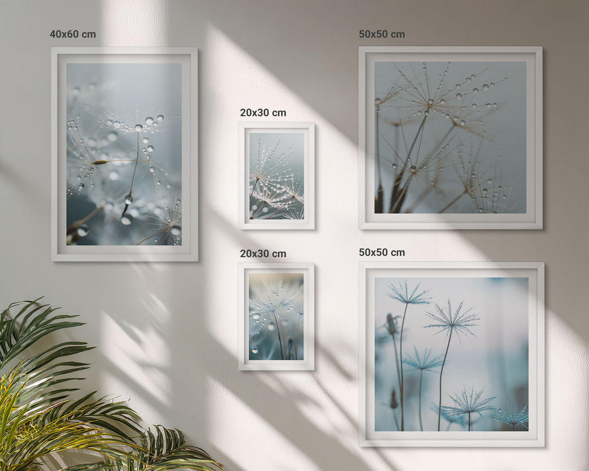 WANDBILDER 5er-Set - 50x50 cm & 20x30 cm & 40x60 cm Weißer Rahmen - Wassertropfen auf Löwenzahnsprossen - Weiß, Kunststoff (40/60cm) - ArtPrintCave