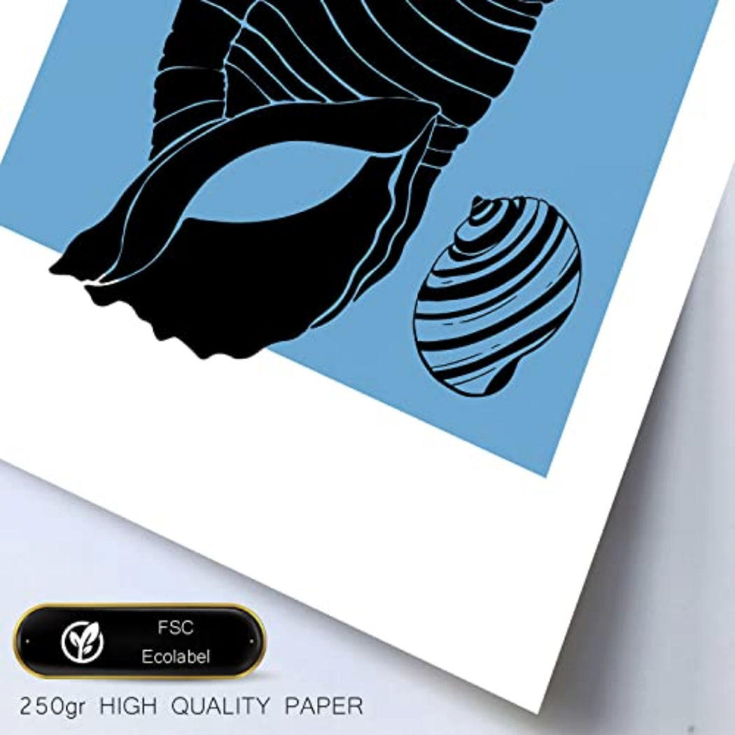 POSTER Set Mit 6 In Schwarzer Tinte Meeresschnecken Kunstdrucke Von Meer Und Ozean Für Innenarchitektur A3 & A4 Weißer Rahmen - Weiß, Papier (29/3cm) - Nacnic
