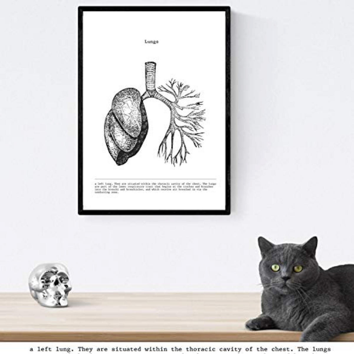 POSTER Set mit 3 Anatomie Vintage Herz Gehirn Lunge Größe A4 Rahmenlos - Klar, Papier (21/1/29.7cm) - Nacnic