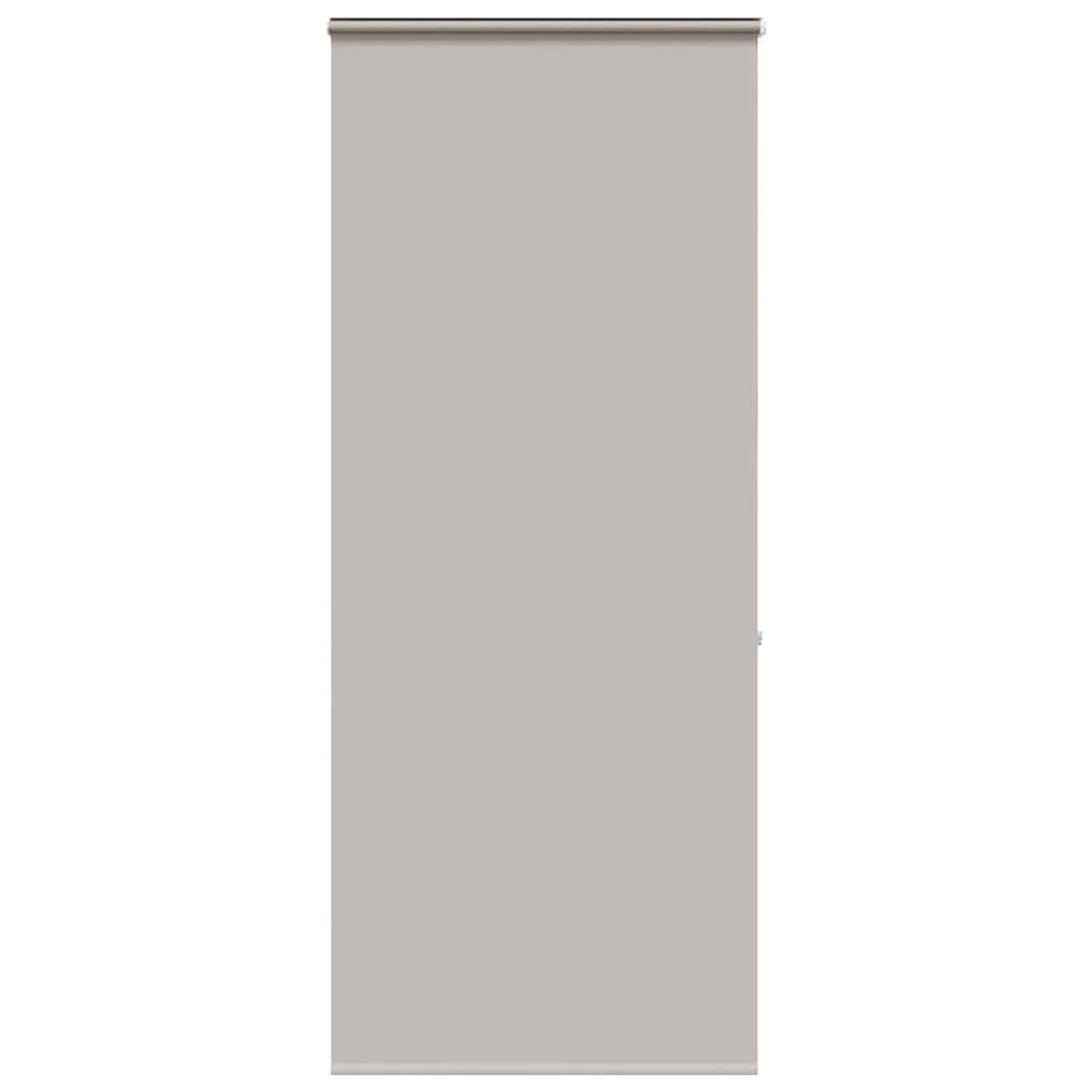 ROLLO für die Dusche 100/240 cm Stoffbreite 96 cm aus PEVA Hellgrau - Hellgrau, Kunststoff (100/240cm) - vidaXL