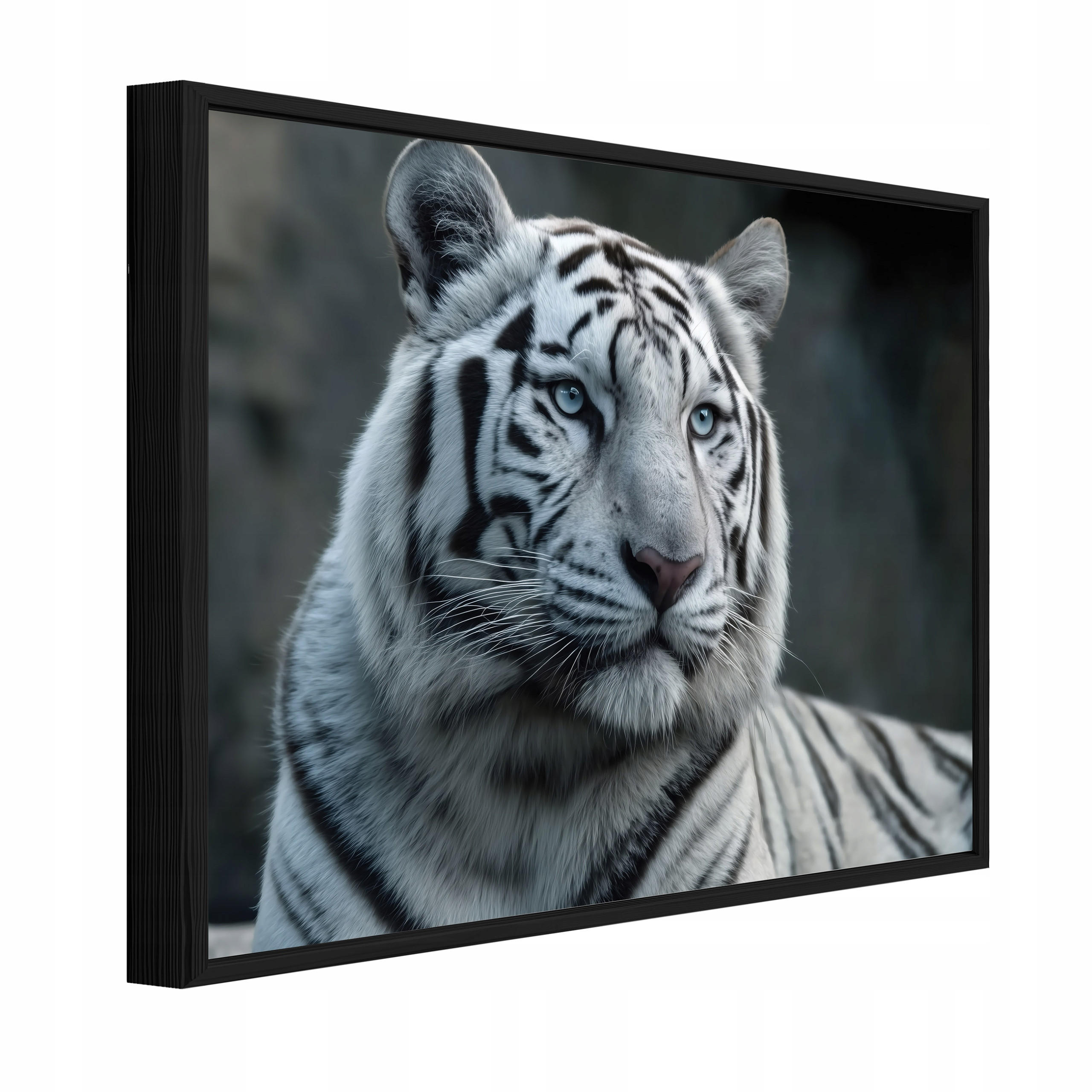 BILDER mit Rahmen Tiger Tiere Weiß 60x40 cm - Multicolor, Holzwerkstoff (60/40cm) - Wallarena