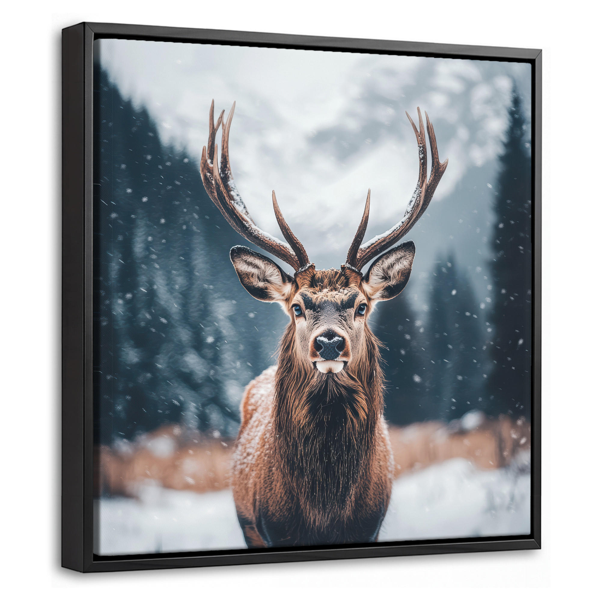 MuchoWow Leinwand Kastanien 20x20 cm