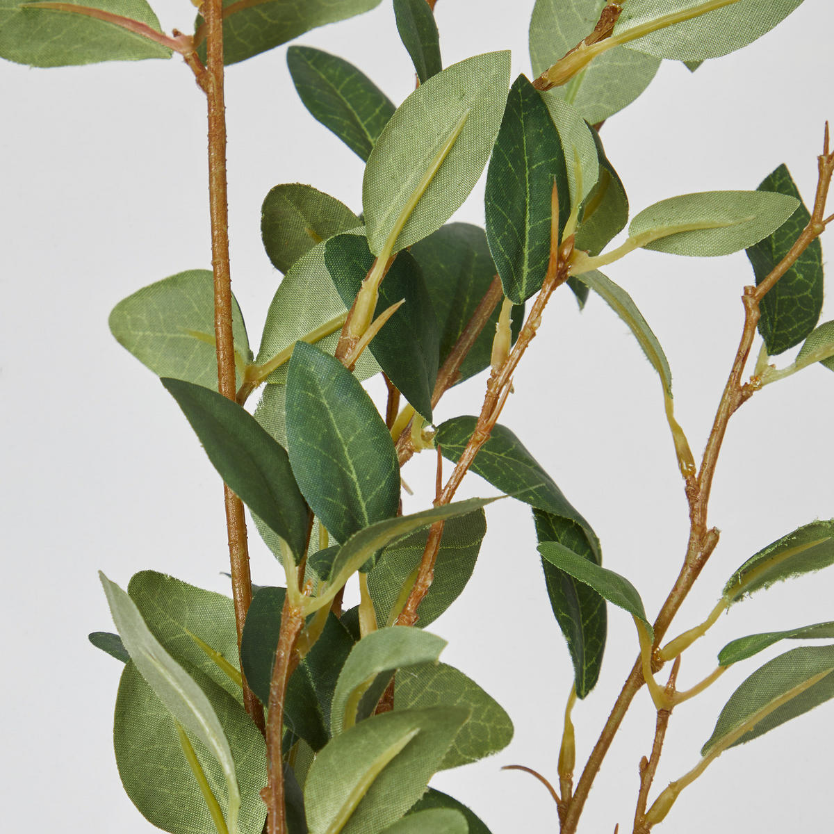 KUNSTBLUME Florista Weidenzweig - Grün, Kunststoff (22cm) - Butlers