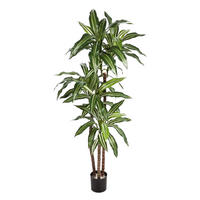 KUNSTBAUM Künstlicher Drachenbaum - Nico 150 cm - Multicolor, Kunststoff (150cm) - aplanta