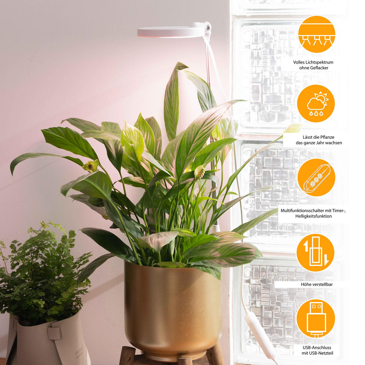 LED-PFLANZENLEUCHTE - dimmbar mit Timerfunktion und Klipphalterung für Töpfe, USB-betrieben - Weiß, Kunststoff (10/79.3/10cm) - Northpoint