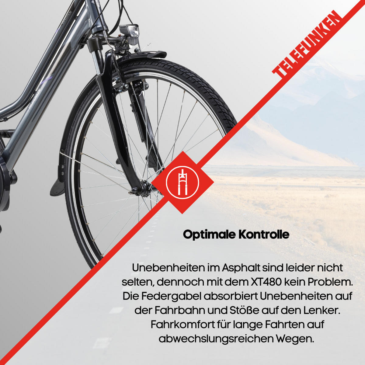 E-BIKE XT480 Trekking Elektrofahrrad 21-Gang Shimano Kettenschaltung, Pedelec, 10Ah, 36V Akku - Anthrazit, Metall (112.5cm) - Telefunken