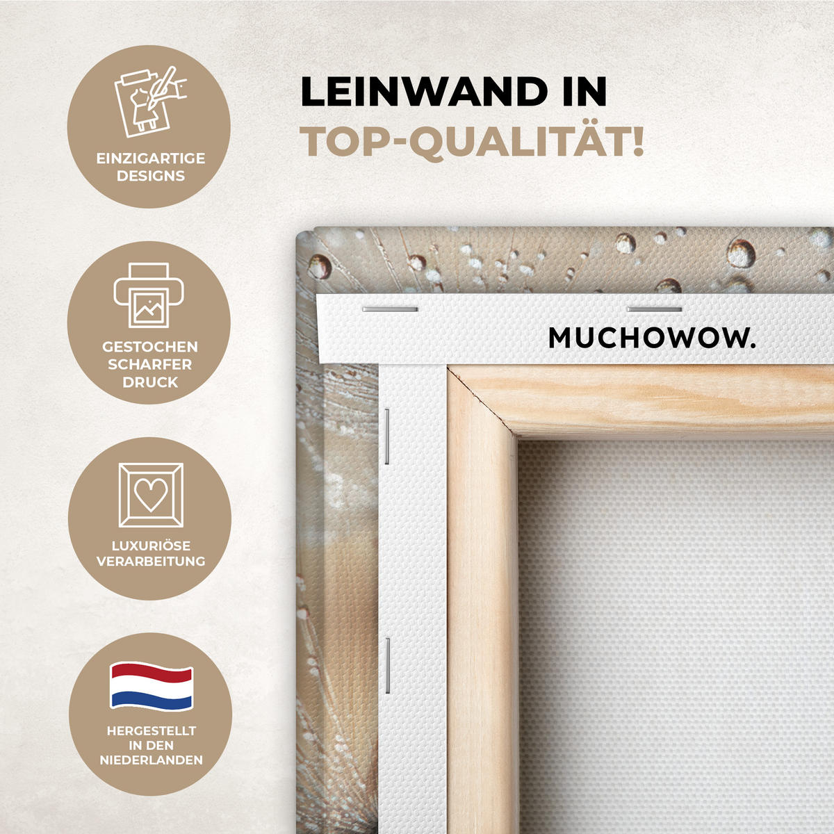 OBRAZ NA PLÁTNĚ Pampeliška - Abstraktní - Příroda - Béžová 40x30 cm - hnědá, textil (40/30cm) - MuchoWow