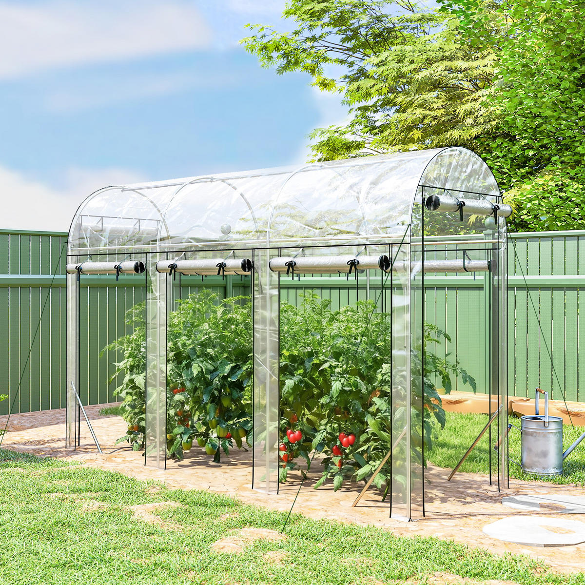 GEWÄCHSHAUS DE-12066 8 Rolltüren Transparent - Transparent, Metall (100/197/295cm) - ComfortXL