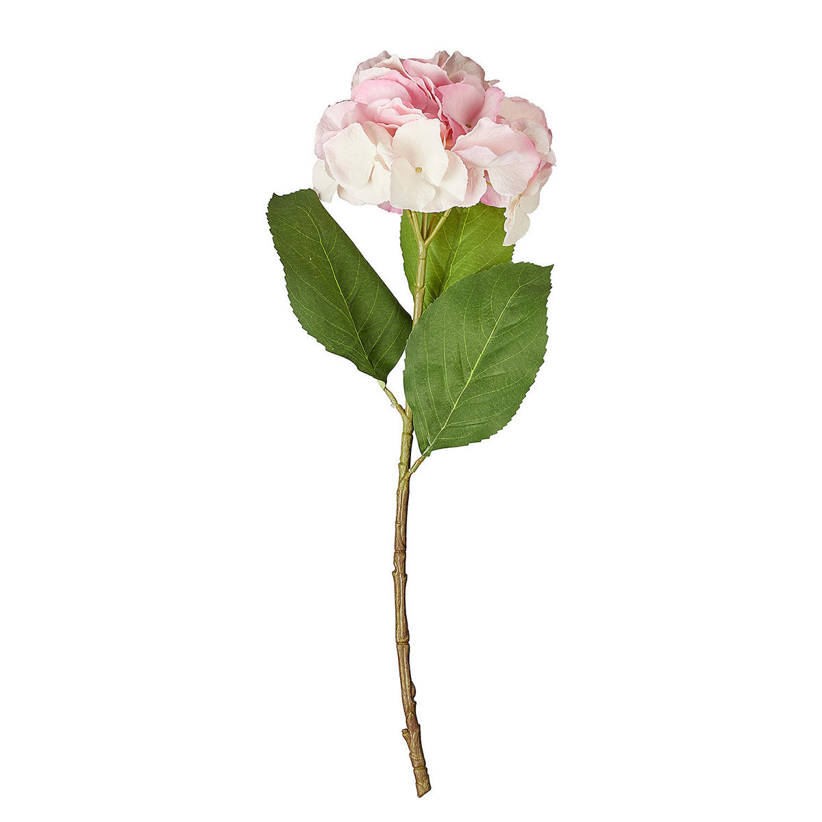 KUNSTBLUME (6er Set) Florista - Pink, Kunststoff (62cm) - Butlers
