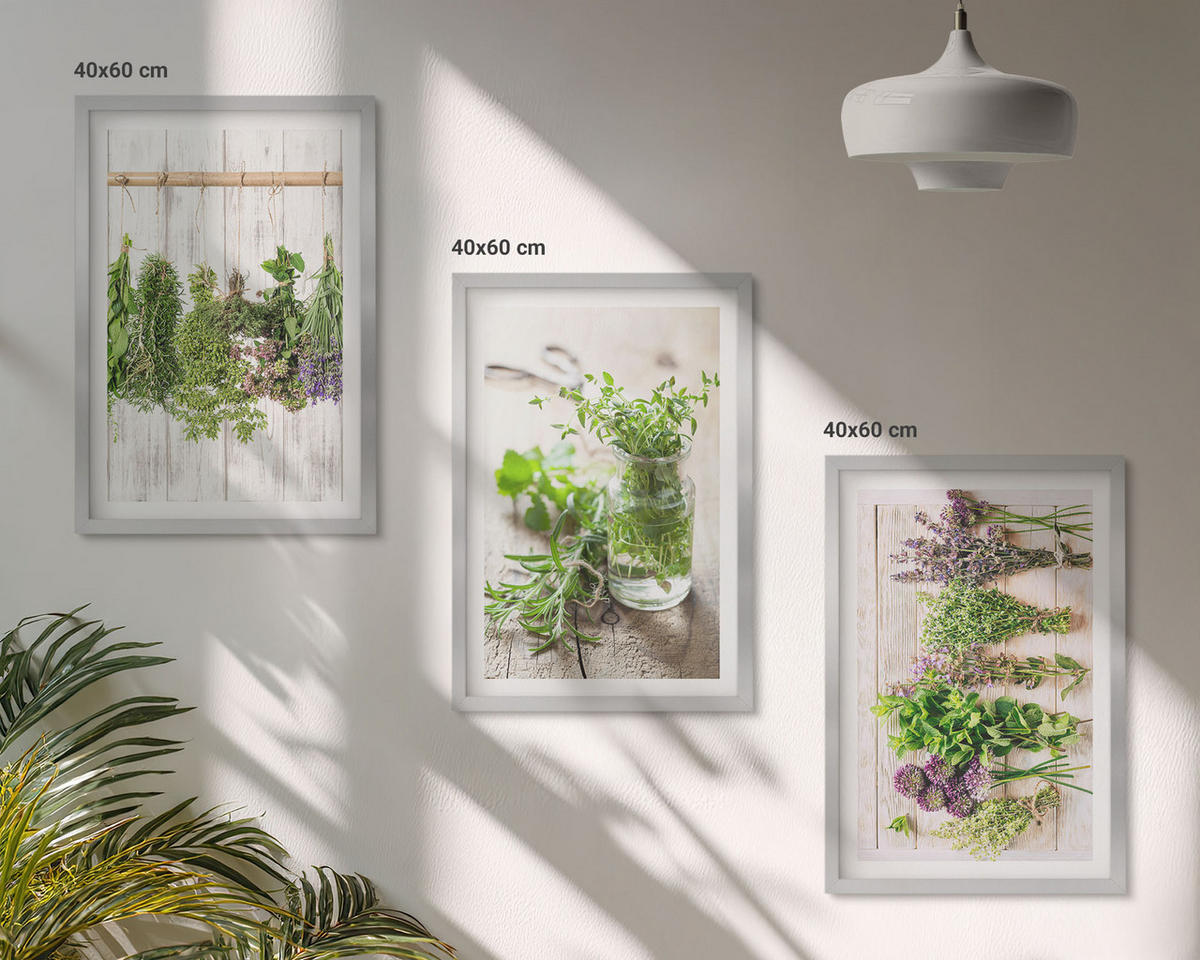 BILDER SET 3er Set - 40x60 cm Silberner Rahmen - Kräuterpflanzen für die Küche - Silberfarben, Kunststoff (40/60cm) - TULUP