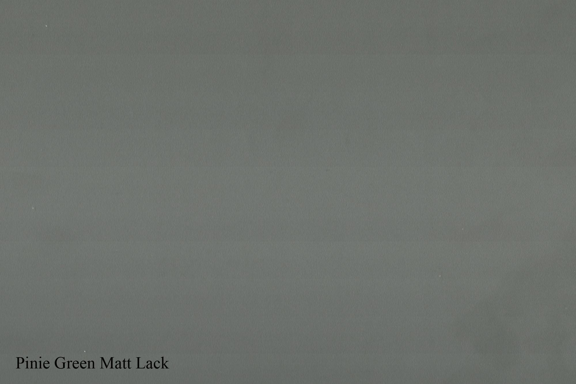 REGAL Elga 66x33x126 aus Holzwerkstoff in der Farbe pine green matt - Grün, Kunststoff (66/126/33cm) - 58aufmkessel