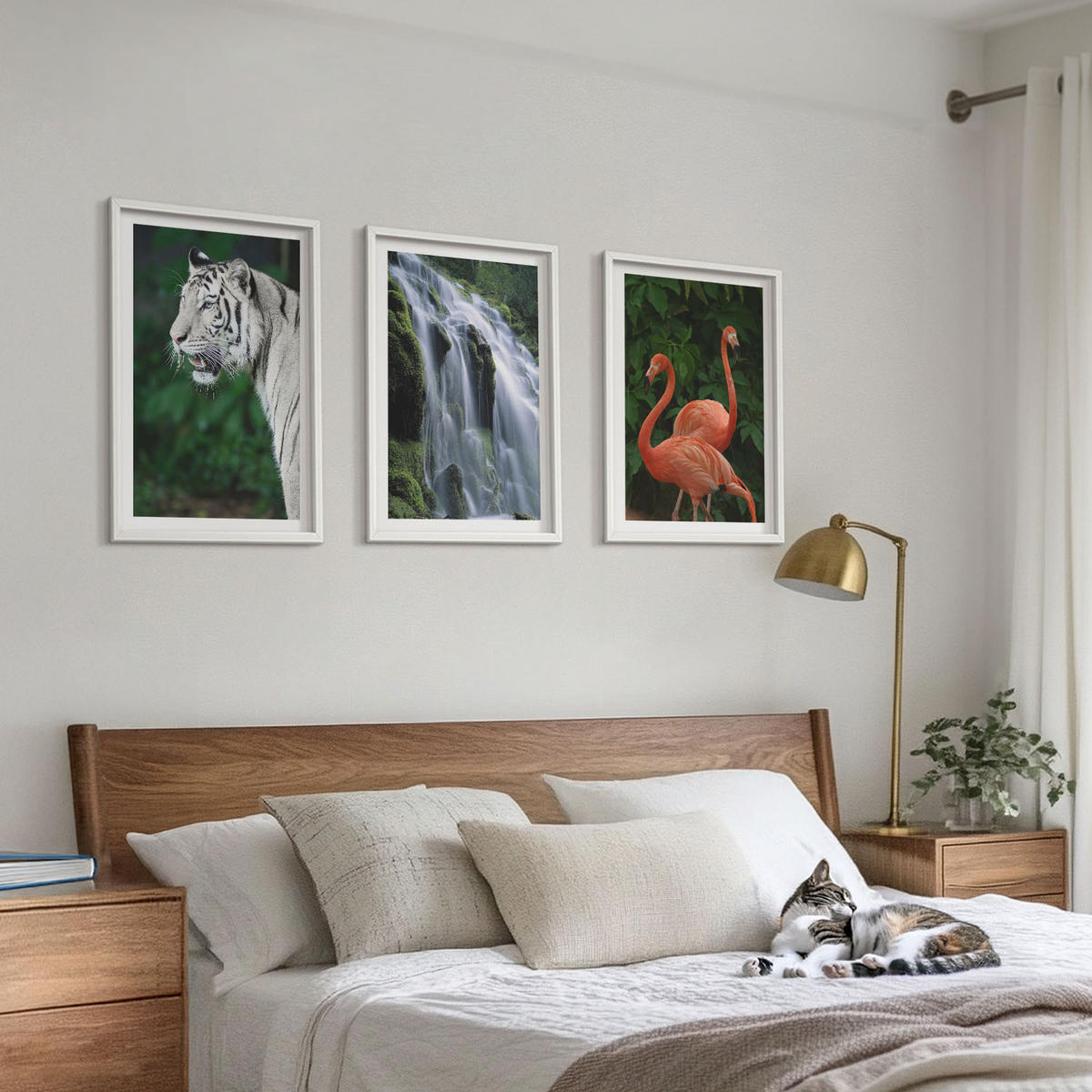 BILDER SET 3er Set - 40x60 cm Weißer Rahmen - Tiger Wasserfall Flamingos Natur - Weiß, Kunststoff (40/60cm) - TULUP