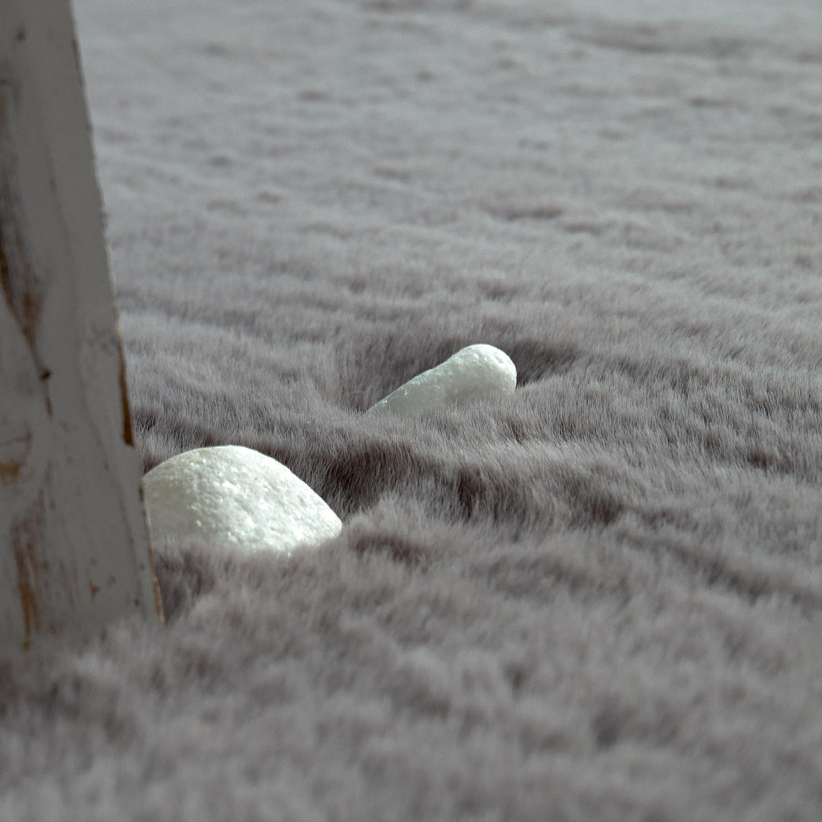 TEPPICH Hochflor Unifarben schmutzabweisend Anthrazit Rechteckig 140x200 - Anthrazit, Textil (140/200cm) - KADIMA DESIGN