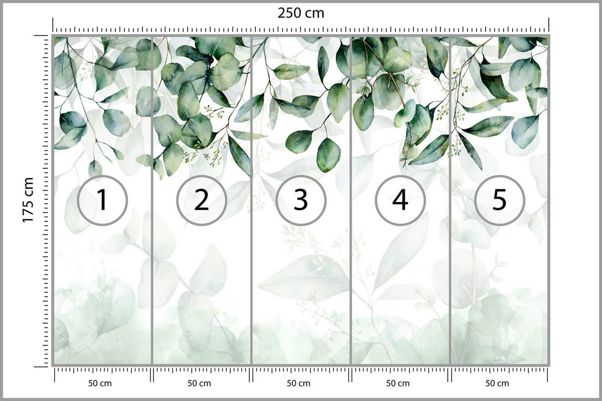 FOTOTAPETE Eukalyptus Blätter Pflanzen Natur 250x175 - Weiß/Grün, Papier (250/175cm) - Muralo