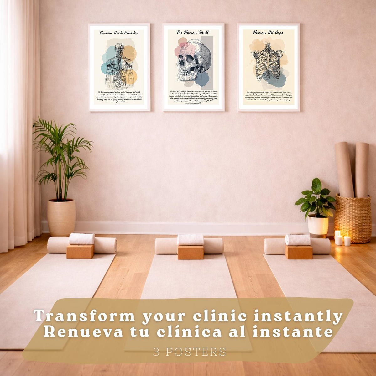 POSTER Set aus 3 Anatomie Mensch Lernposter Drucke und Wandbilder mit Muskeln Rücken Brustkorb Schädel Wanddekoration Größe Weißer Rahmen A4 - Weiß, Papier (21/29.7/3cm) - Nacnic
