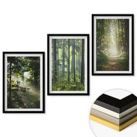 WANDBILDER 3er-Set - 40x60 cm Schwarzer Rahmen - Grüne Wälder mit Lichtstrahlen - Schwarz, Kunststoff (40/60cm) - ArtPrintCave