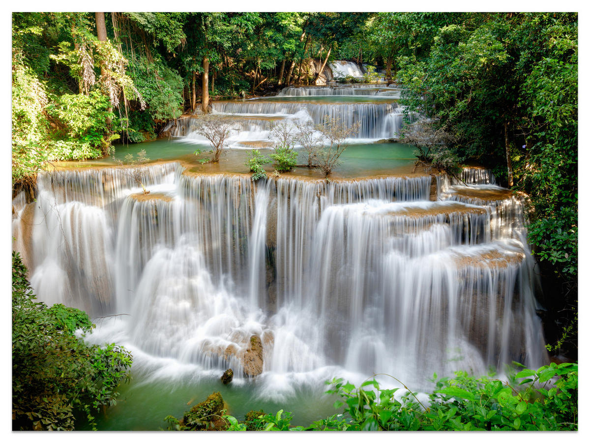 FOTOTAPETE für Esszimmer Panorama Waldwasserfall Bäume Pflanzen Natur 300x210 - Beige/Braun, Papier (300/210cm) - Muralo