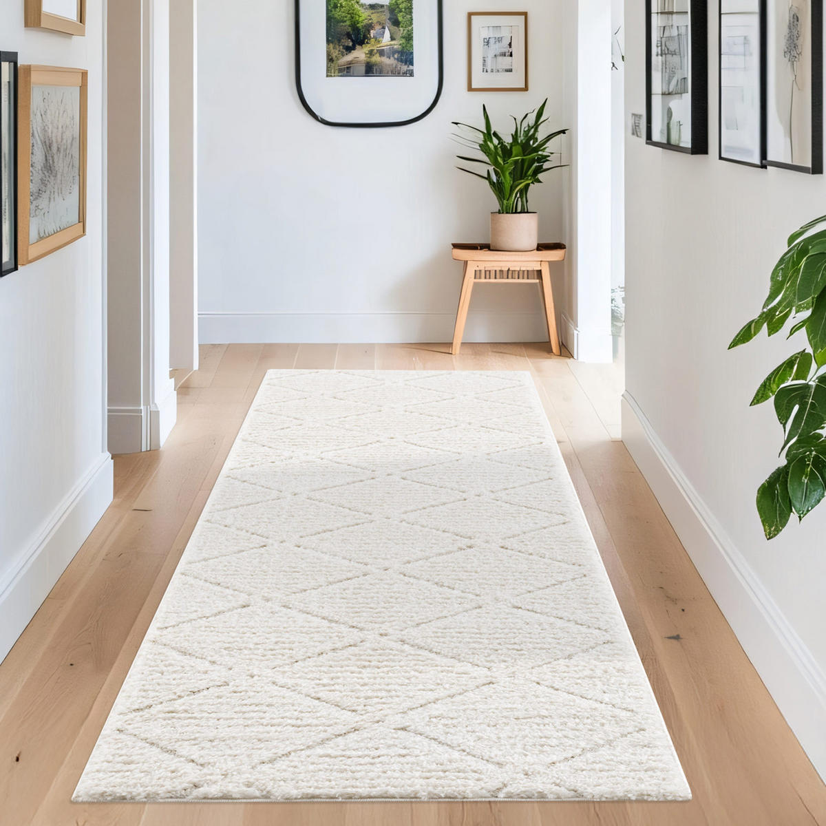 HOCHFLOR-TEPPICH Focus 2997 Creme 80x300 cm - Creme, Textil (80/300cm) - carpet city