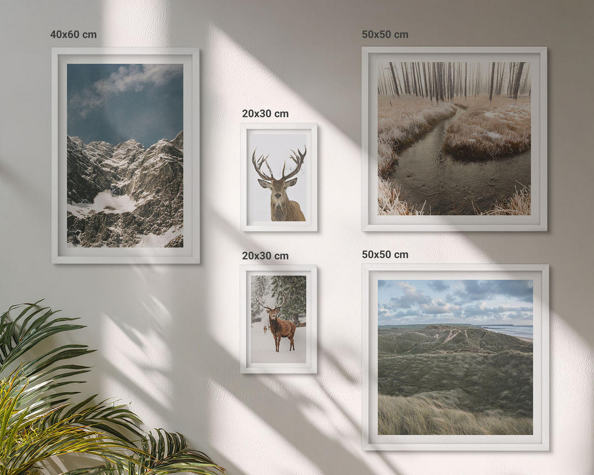 WANDBILDER 5er-Set - 50x50 cm & 20x30 cm & 40x60 cm Weißer Rahmen - Berge, Schnee, Hirsche, Waldlandschaft - Weiß, Kunststoff (40/60cm) - ArtPrintCave