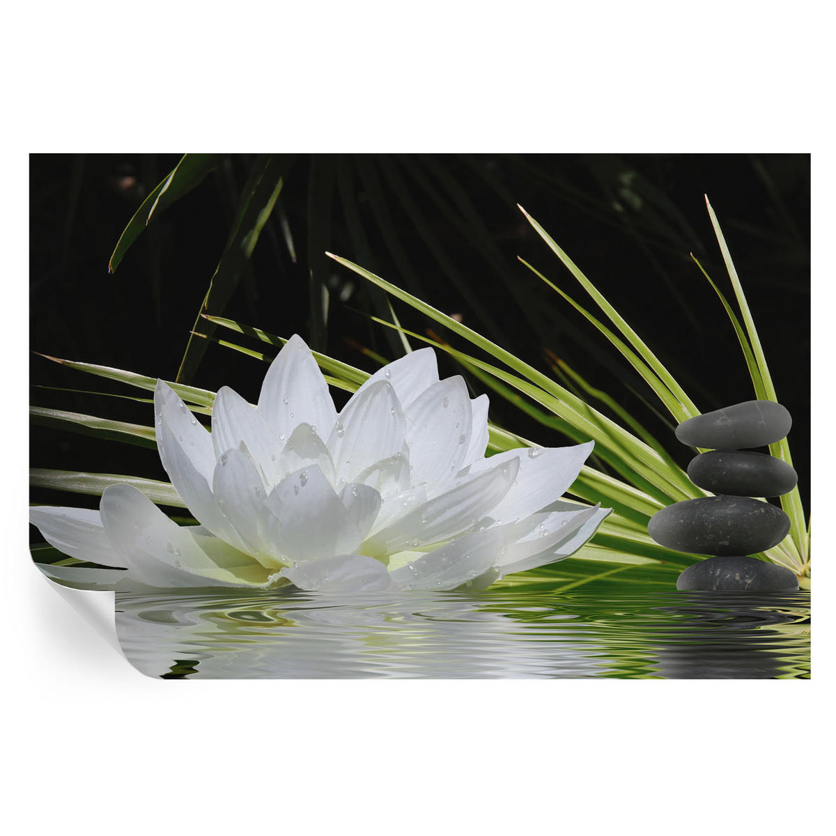 FOTOTAPETE 104x70 cm - Lilienmeditation - Weiß, Textil (104/70cm) - Wallfluent