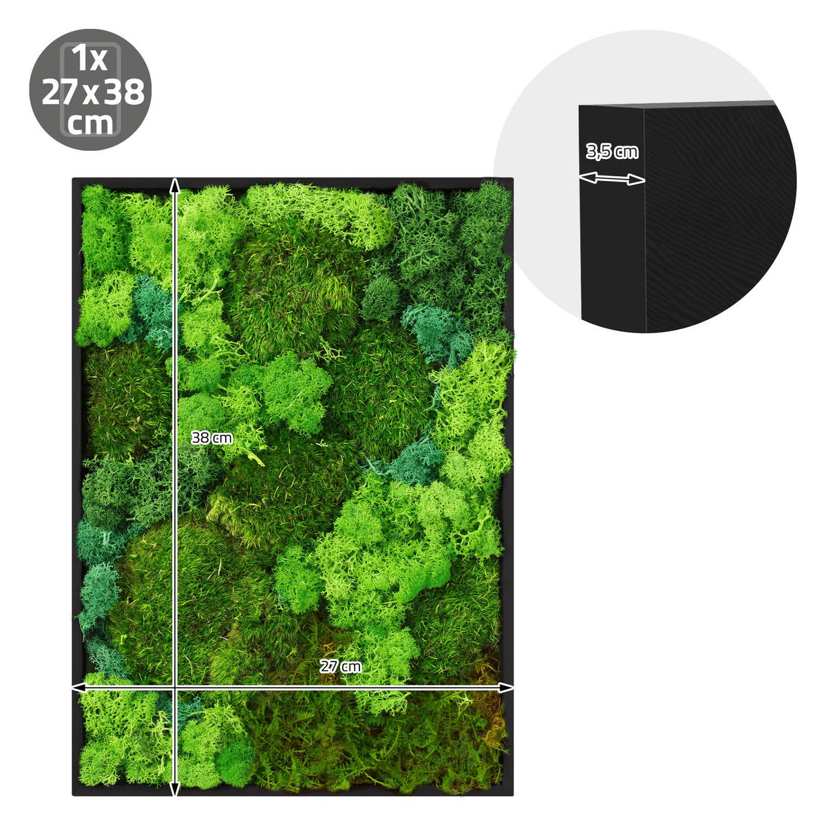 MOOSBILD Rechteck 38 x 27 cm Mooswand Indoor mit echtem echtem Kugelmoos-Islandmoos-Flachmoos-Mix und Holzrahmen Grün - Waldgrün, Naturmaterialien (27/38/3.5cm) - ECD-Germany