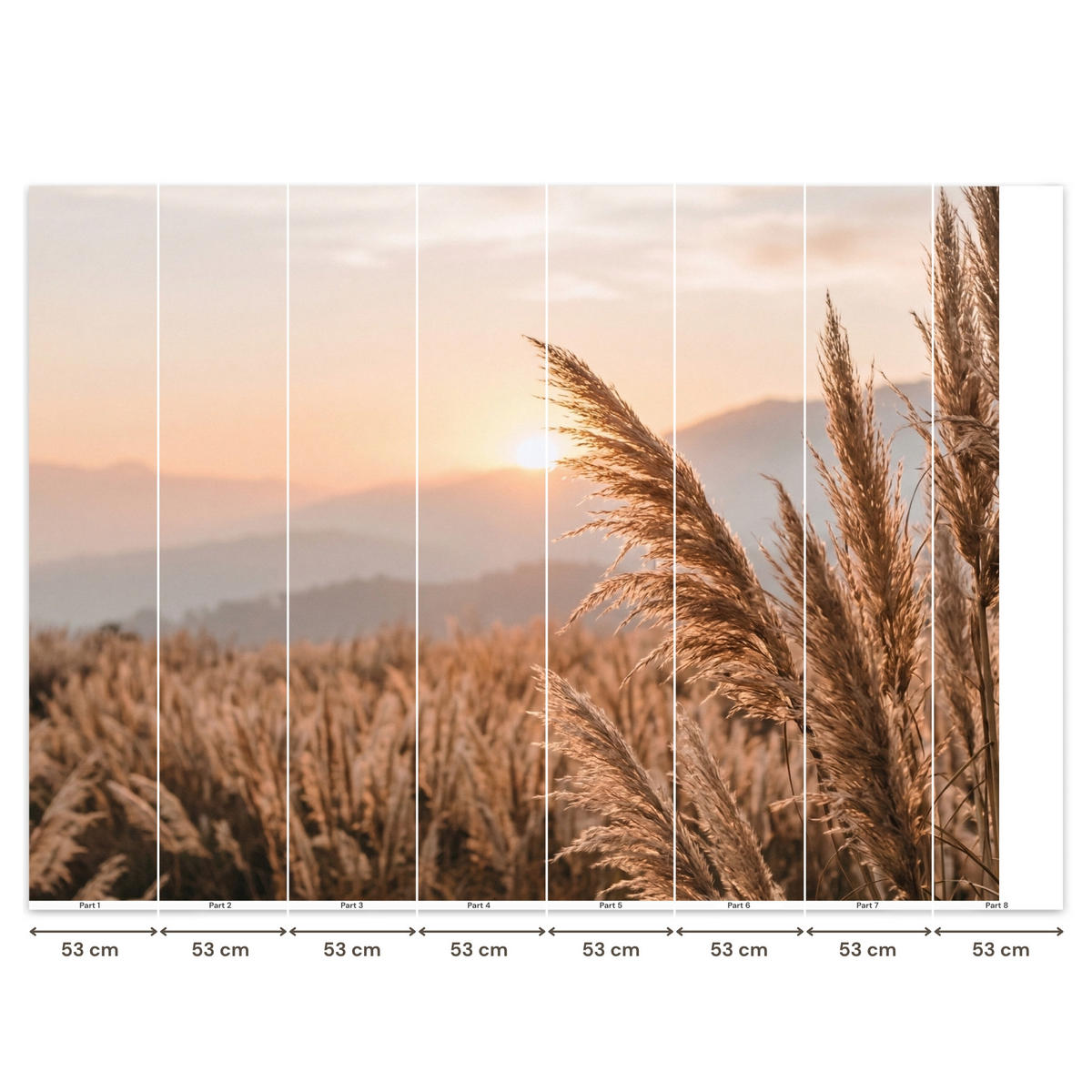 TAPETE - Gras - Feld - Sonne - Natur - 400x300 cm - Sandfarben, Papier (400/300cm) - OnlyWow