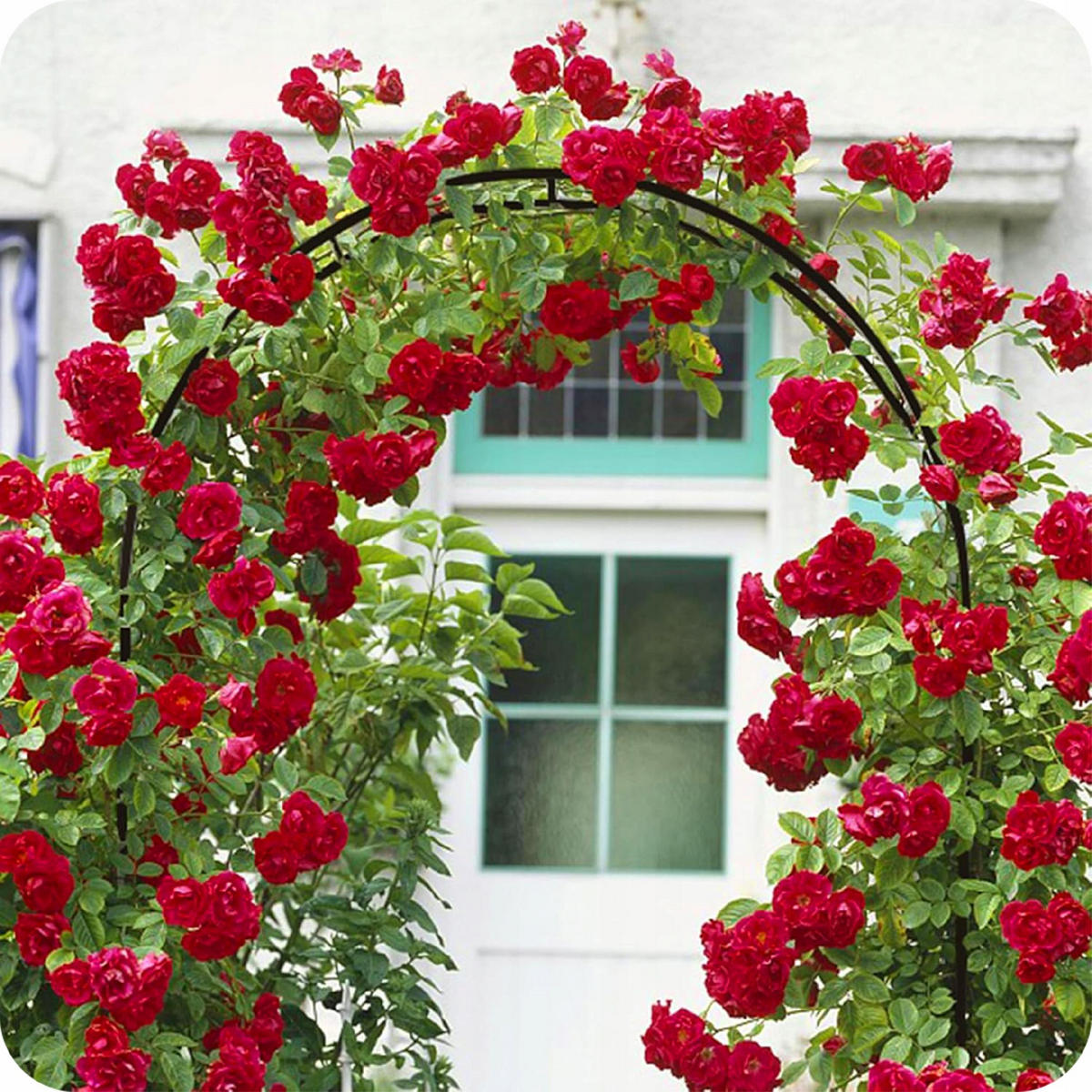 ROSENBOGEN Gartenpergola - Schwarz, Metall (140/240/38cm) - KRUMAD