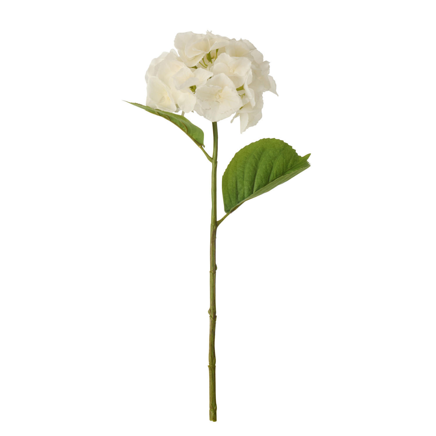 BLUME HORTENSIE FRESH TOUCH Weiß - Weiß, Textil (7cm) - J-Line
