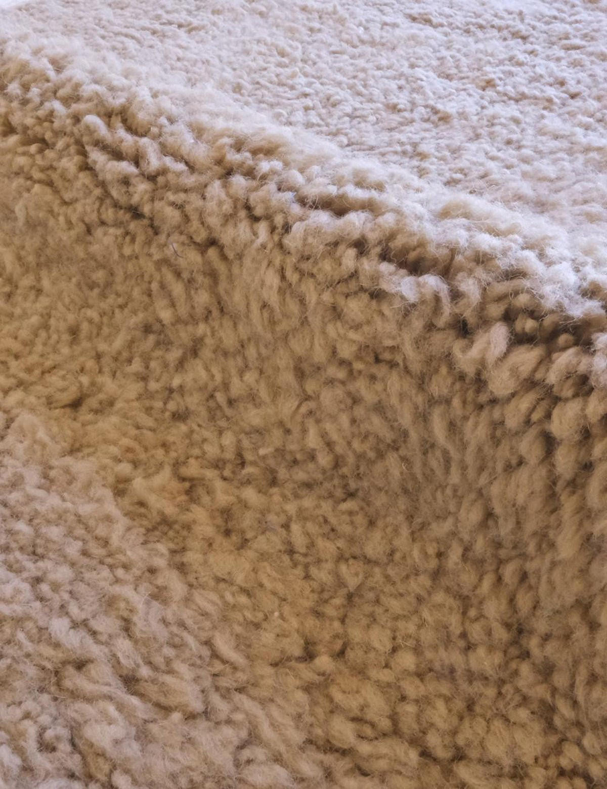 BERBERTEPPICH minimalistisch 248x 350 cm - Braun, Naturmaterialien (248/350cm) - AFK Living