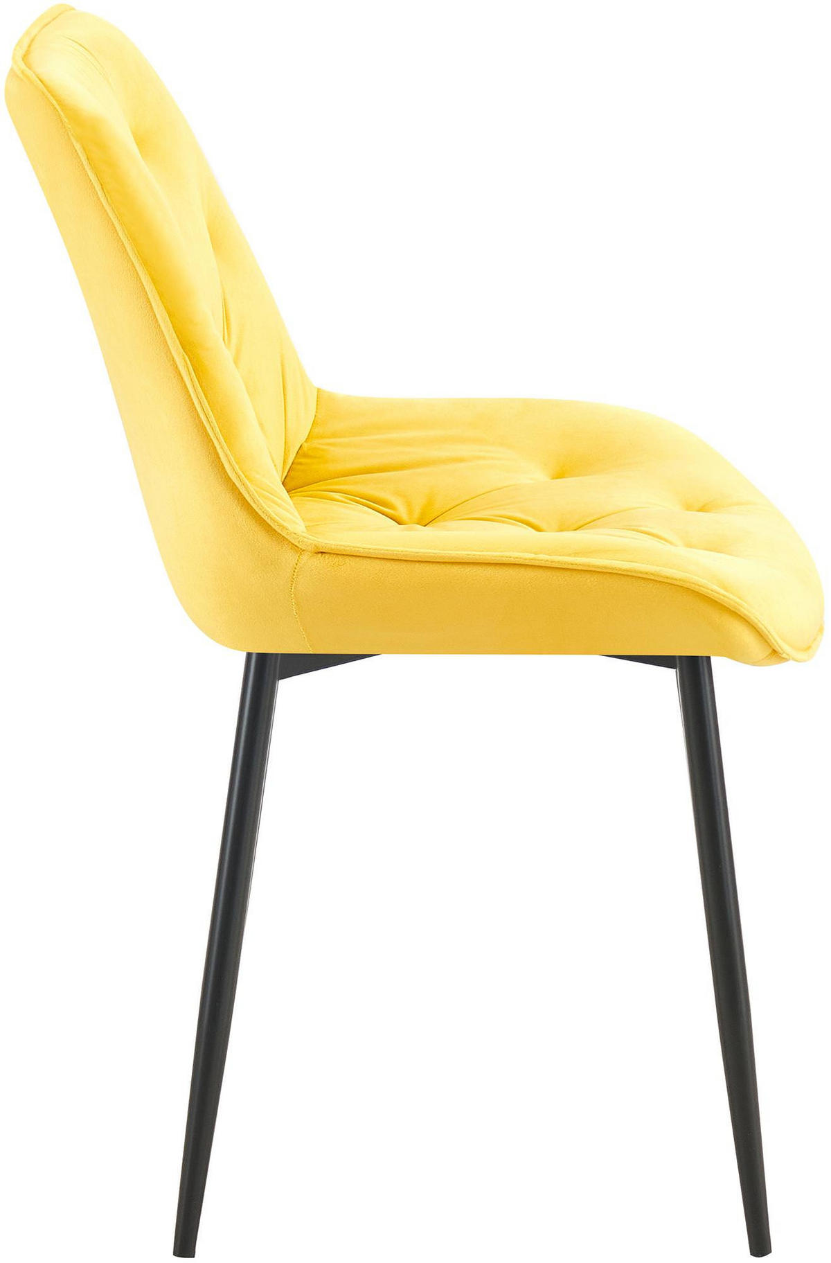 STUHL Samt gelb - Gelb/Schwarz, Textil/Metall (52/84/59cm) - CLP