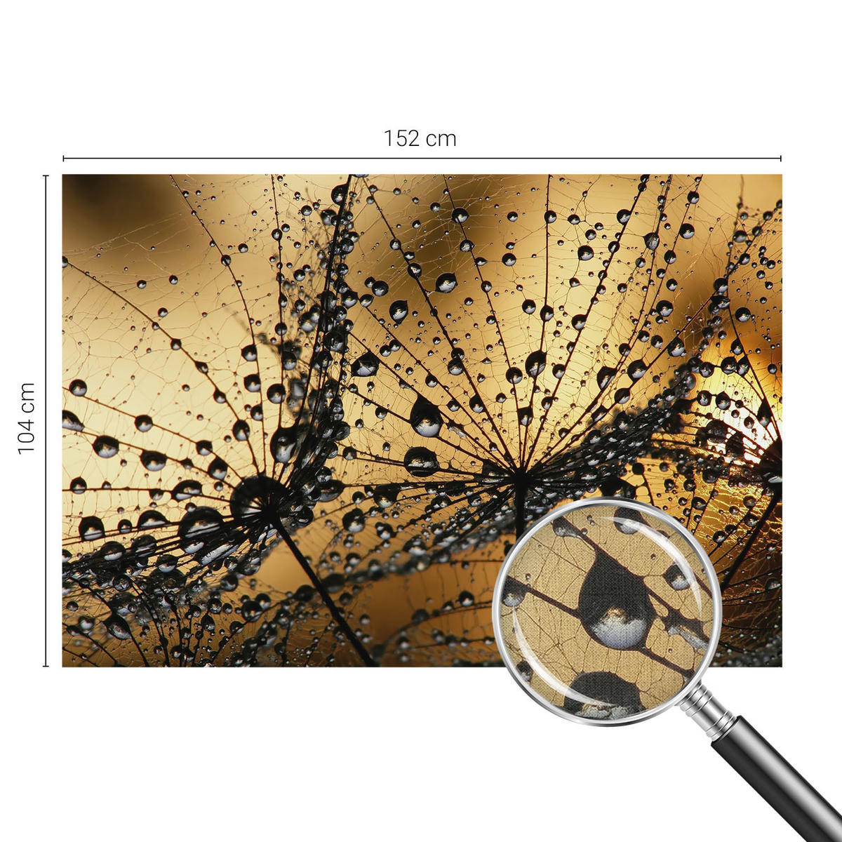 FOTOTAPETE 152x104 cm - Zarte Tropfen - Weiß, Textil (152/104cm) - Wallfluent