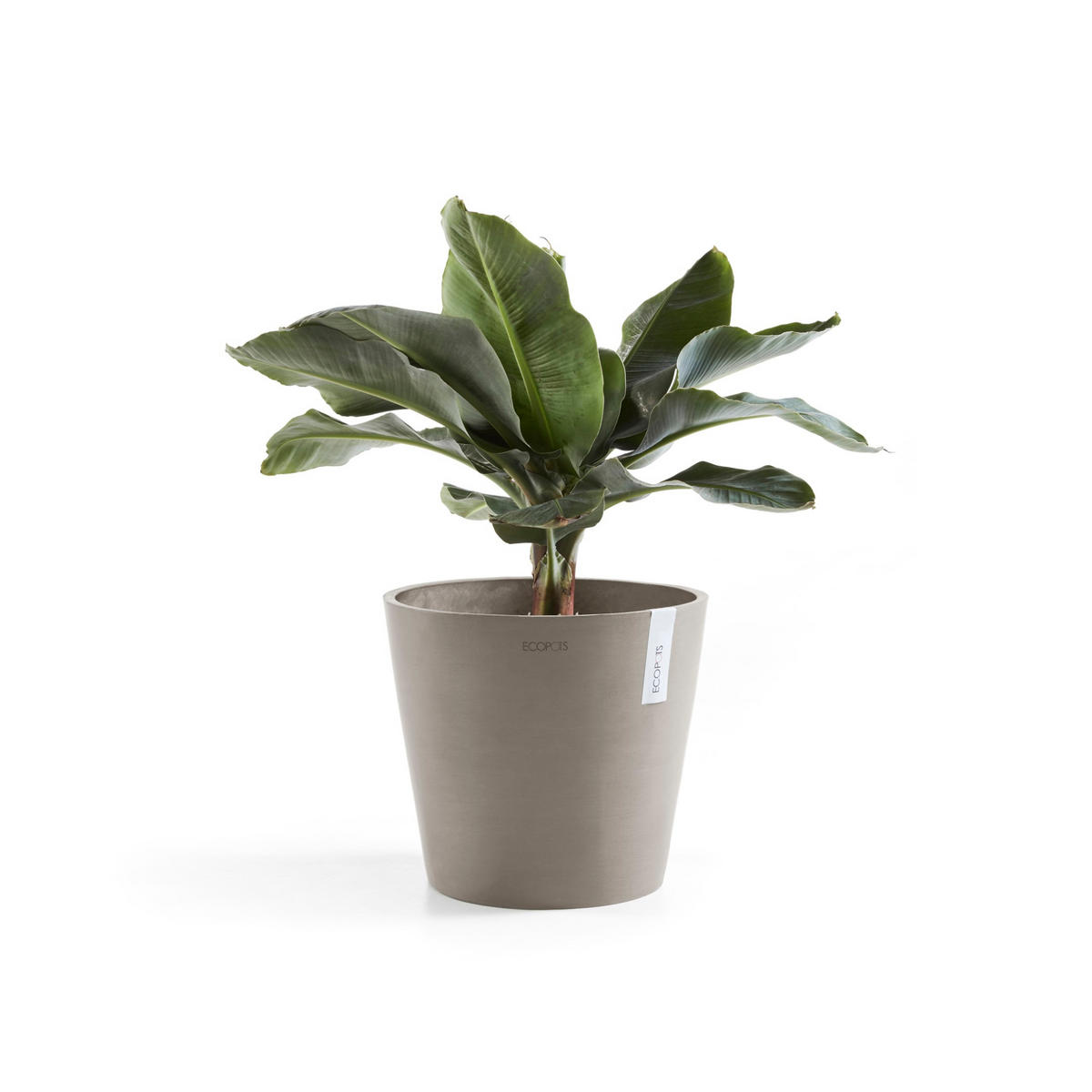 BLUMENTOPF Amsterdam 30/25,4 cm Taupe - Taupe, Kunststoff (30/25.4cm) - Ecopots
