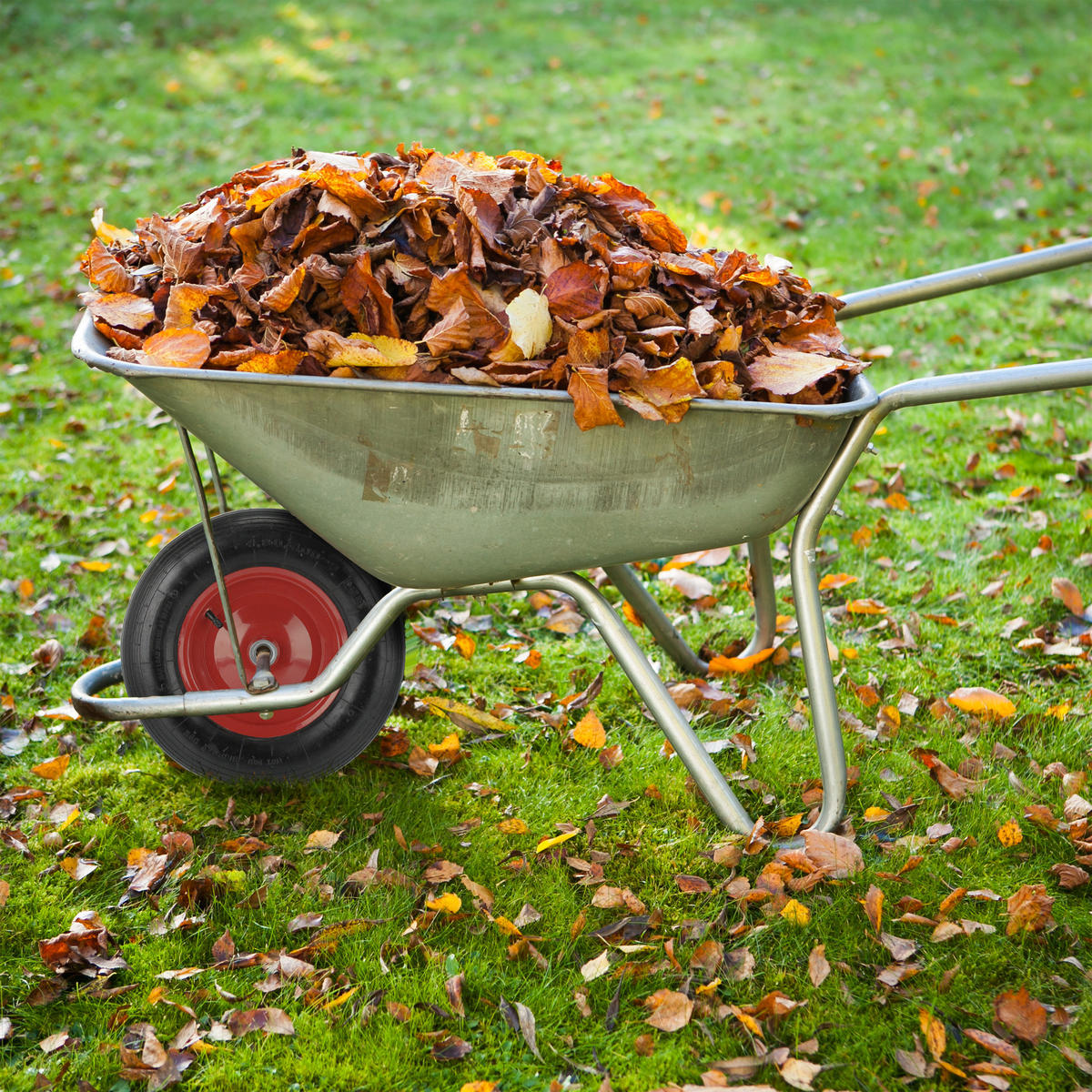 SCHUBKARRENRAD - Multicolor, Kunststoff/Metall (39/9/39cm) - Relaxdays