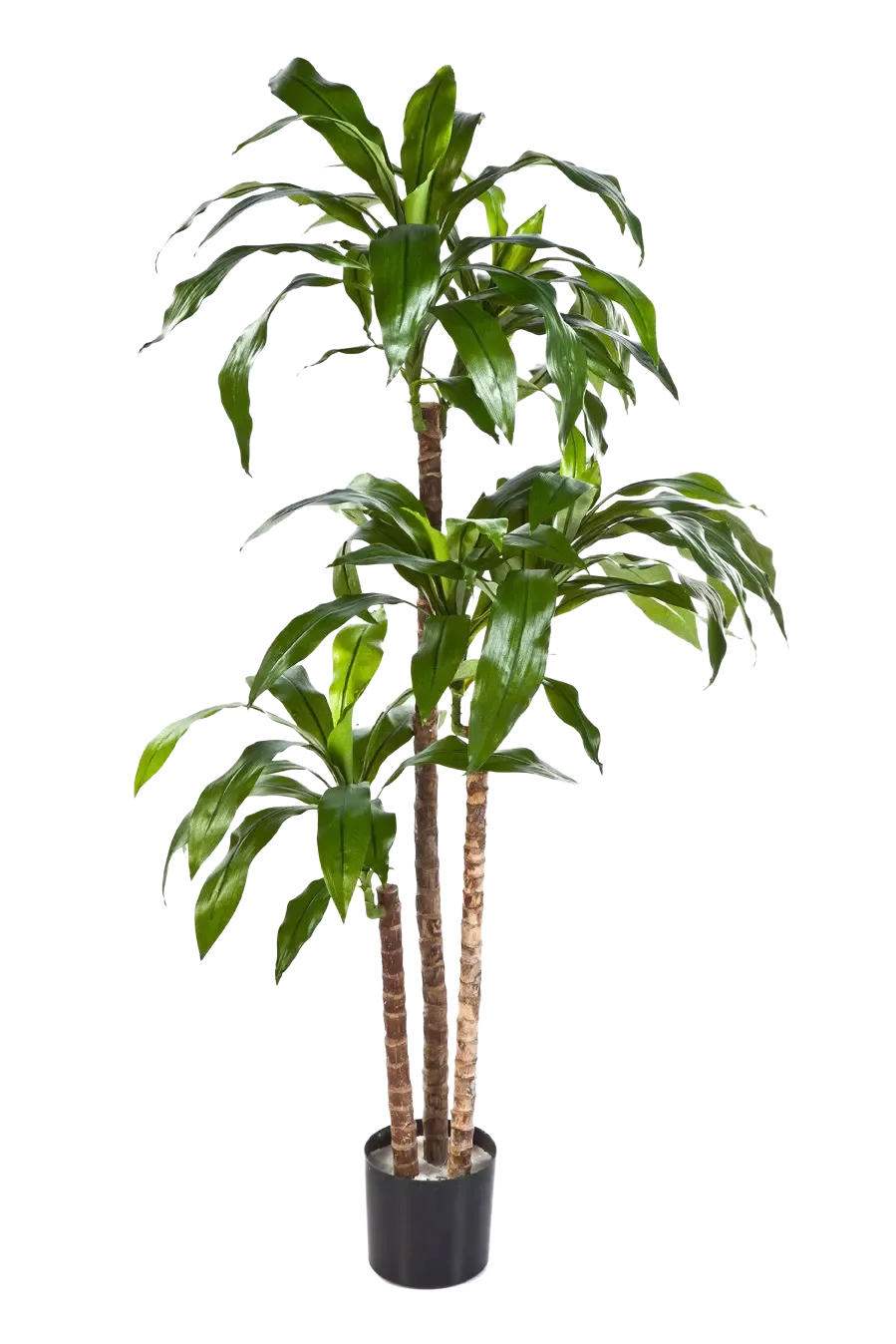 aplanta Künstlicher Grün 150 cm