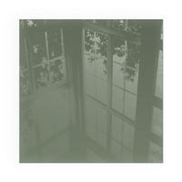 GLASPLATTE für Kamin 50x50 cm - Grün, Glas (50/50/0.4cm) - TULUP