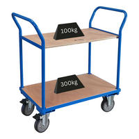 TISCHWAGEN mit 2 Etagen 102x100x50cm Traglast 400kg Lichtblau - Blau, Metall (50/100/102cm) - PROREGAL