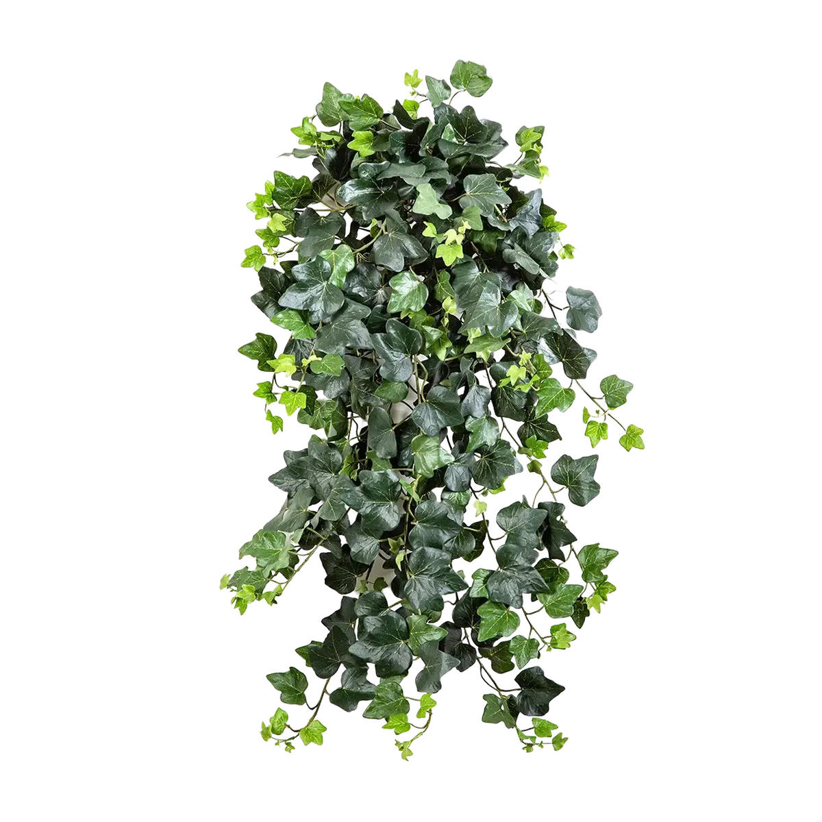 EFEU Künstlicher Efeu - Emma 75 cm - Multicolor, Kunststoff (75cm) - aplanta