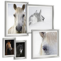 BILDER SET 5er Set - 50x50 cm & 20x30 cm & 40x60 cm Silberner Rahmen - Pferdeporträts in Schattierungen - Silberfarben, Kunststoff (40/60cm) - TULUP