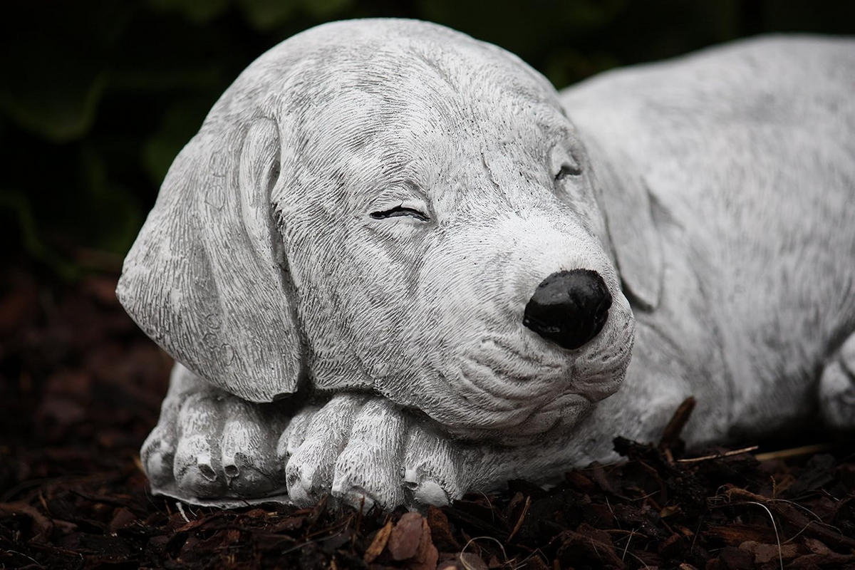 STEINFIGUR Hunde Welpe Labrador, Frostfest - Grau, Stein (30/11/18cm) - stoneandstyle