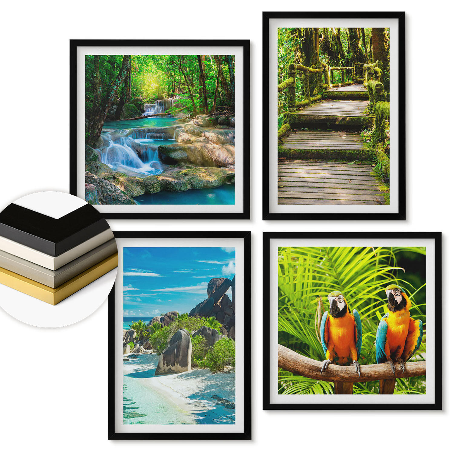 WANDBILDER 4er-Set - 50x50 cm & 40x60 cm Schwarzer Rahmen - Tropischer Wald Papageienwasserfall - Schwarz, Kunststoff (50/50cm) - ArtPrintCave