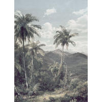 FOTOTAPETE Landschaft 200 x 280 cm - Grün, Papier (200/280cm) - Sanders & Sanders