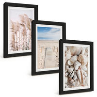 BILDER SET 3er Set - 20x30 cm Schwarzer Rahmen - Strandmuscheln Seegras - Schwarz, Kunststoff (20/30cm) - TULUP