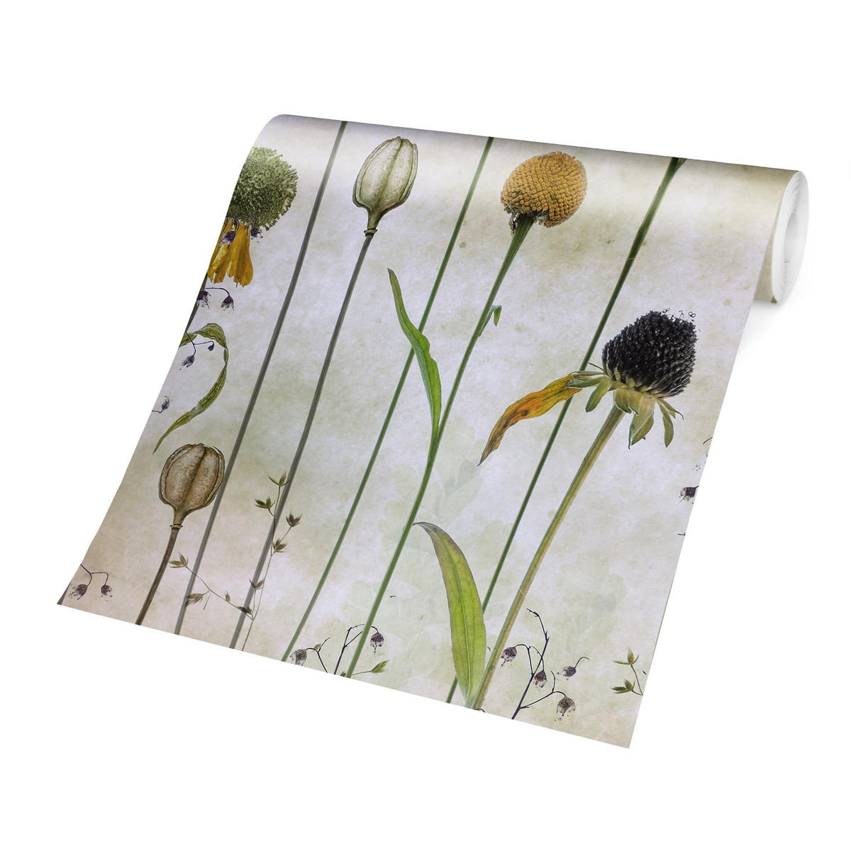 FOTOTAPETE Zarte Helenium Blüten 240/240 cm - Eichefarben, Papier (240/240cm) - Bilderwelten