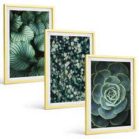 BILDER SET 3er Set - 40x60 cm Goldrahmen - Sukkulenten im Stil grüner Blätter - Goldfarben, Kunststoff (40/60cm) - TULUP