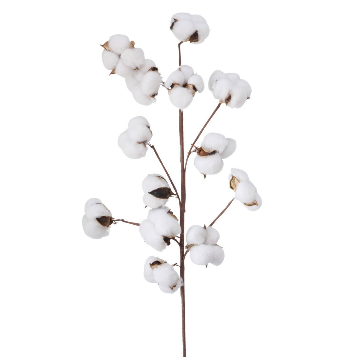 Boltze Home Baumwollzweig Weiß 68 cm