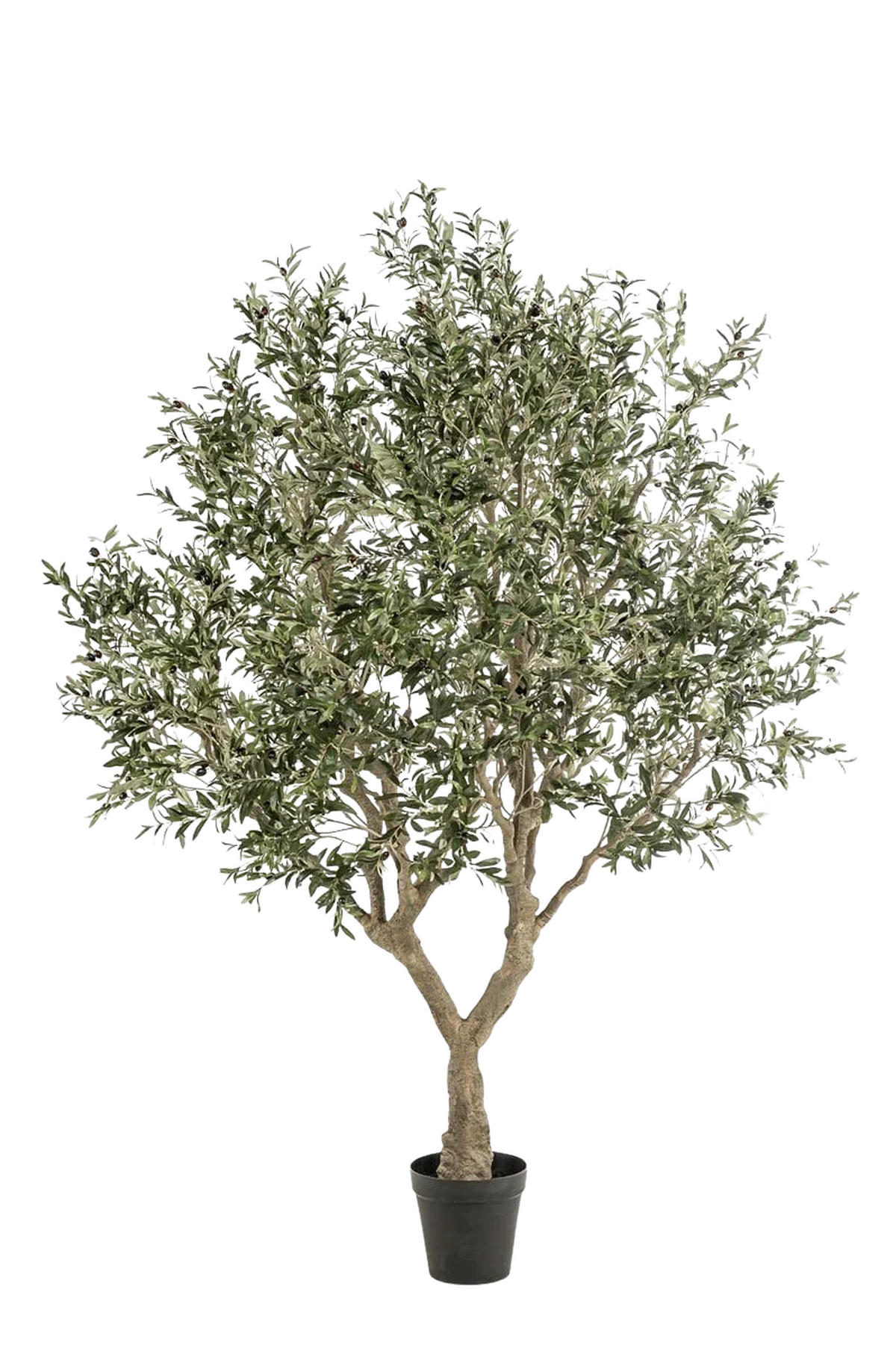 KUNSTBAUM Künstlicher Olivenbaum - Mars 250 cm - Grün, Kunststoff (250cm) - Emerald