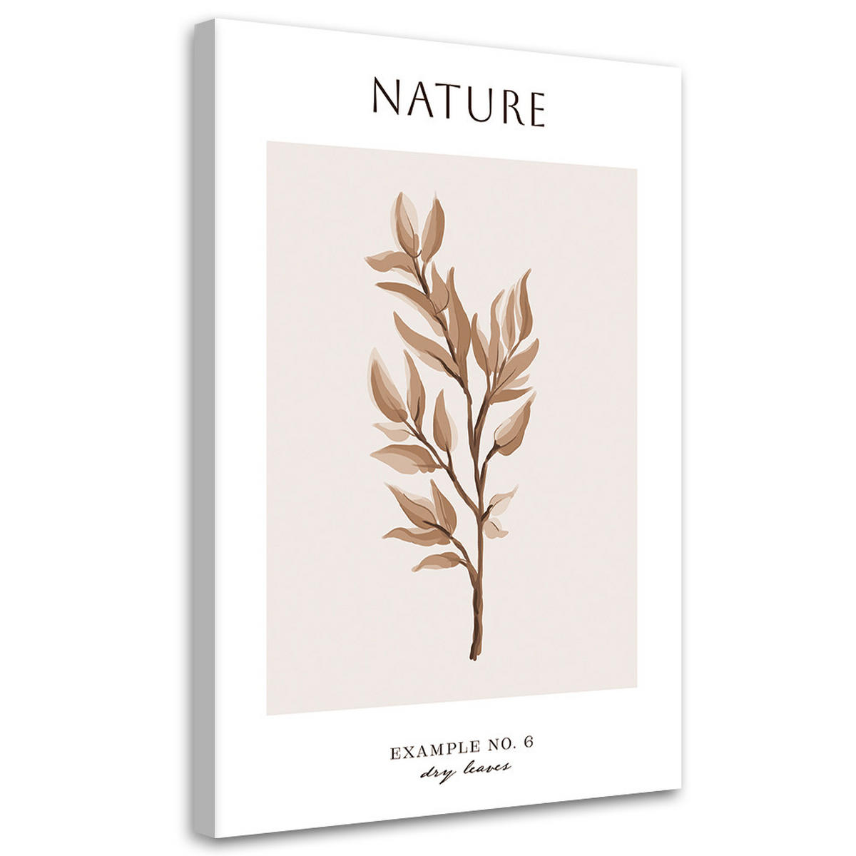 WANDBILD trockene blätter natur - Beige, Textil (40/60cm) - Feeby