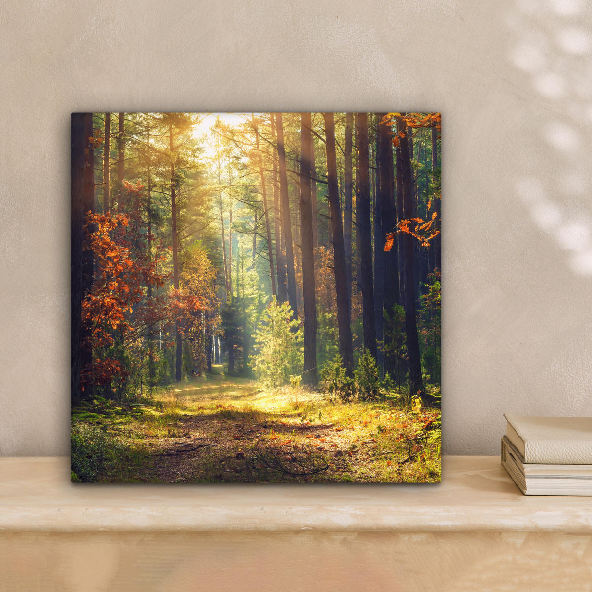 LEINWANDBILD Wald - Herbst - Bäume Deko Wohnzimmer 20x20 cm - Dunkelgrün, Textil (20/20cm) - MuchoWow